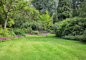 Optimiser l'expérience du jardin à Montmagny